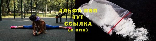 спиды Няндома