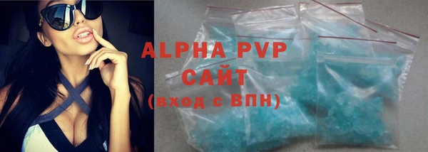 крисы Осташков