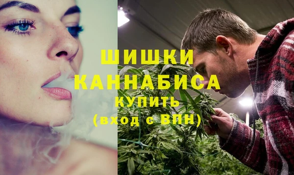 крисы Осташков