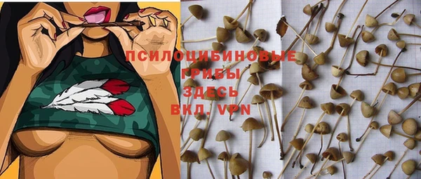 герыч Нязепетровск
