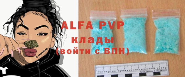 крисы Осташков