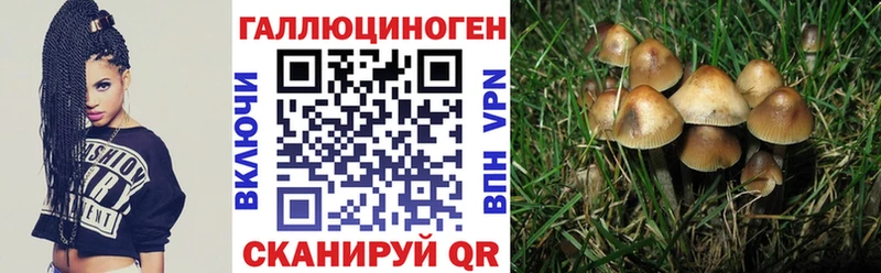 Псилоцибиновые грибы MAGIC MUSHROOMS  Печора 